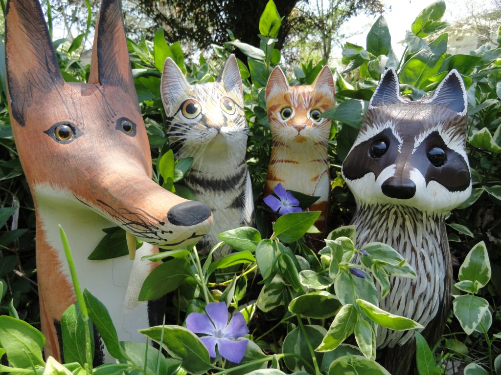 Fox Raccoon Cat Kitty Crossman Press